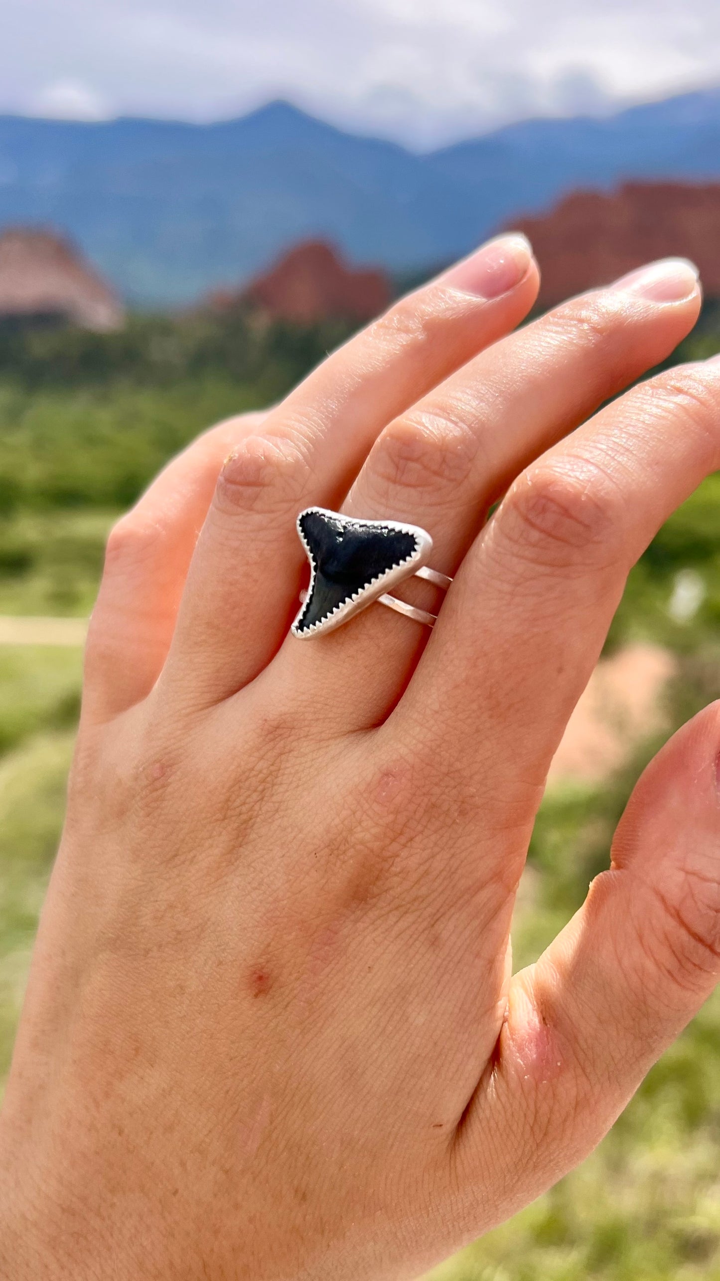 Shark Ring