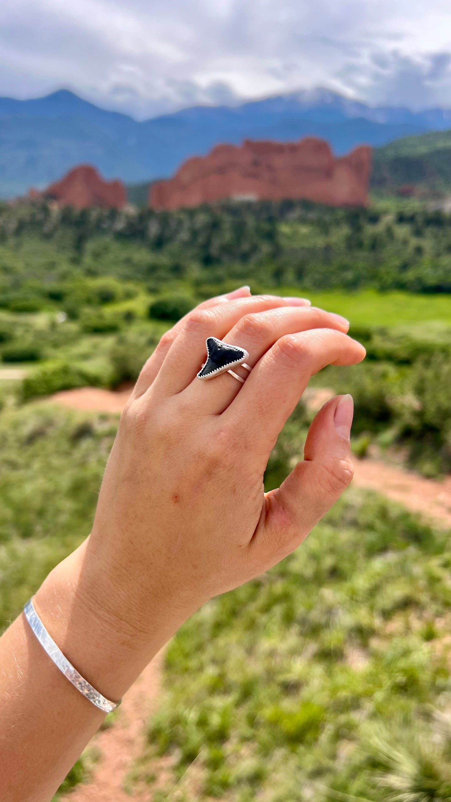 Shark Ring