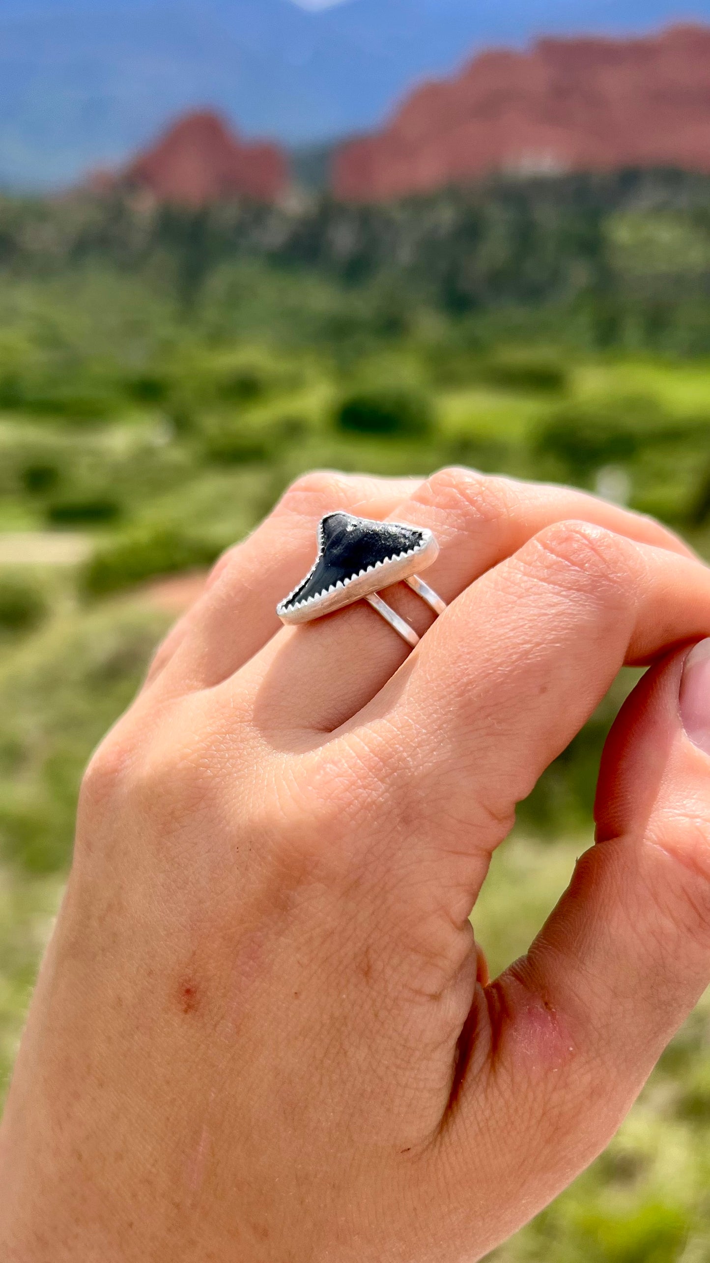 Shark Ring