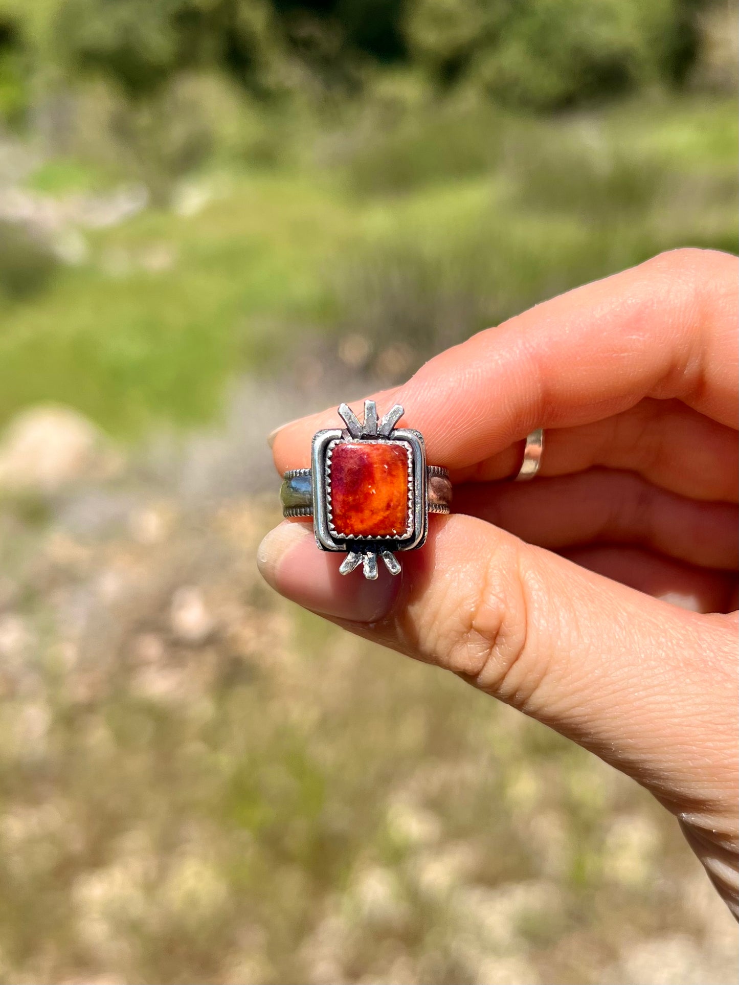 Spiny Oyster Ring