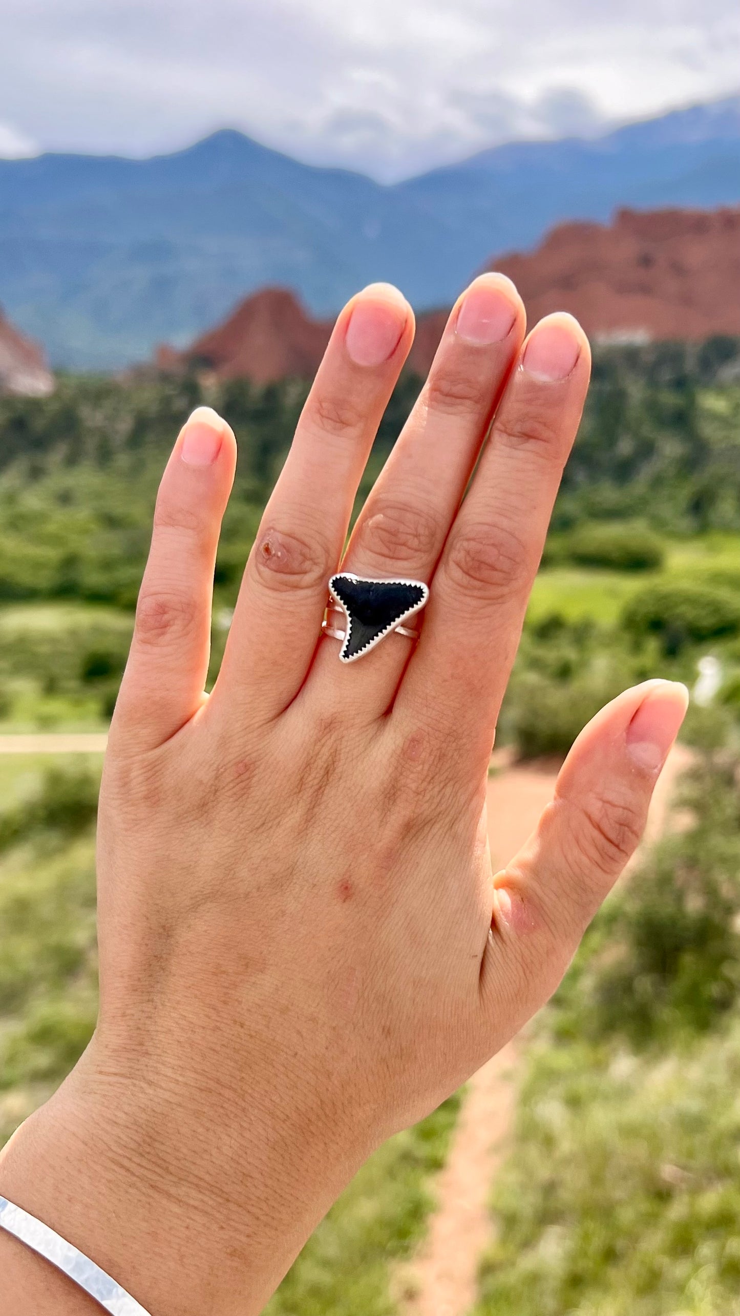 Shark Ring