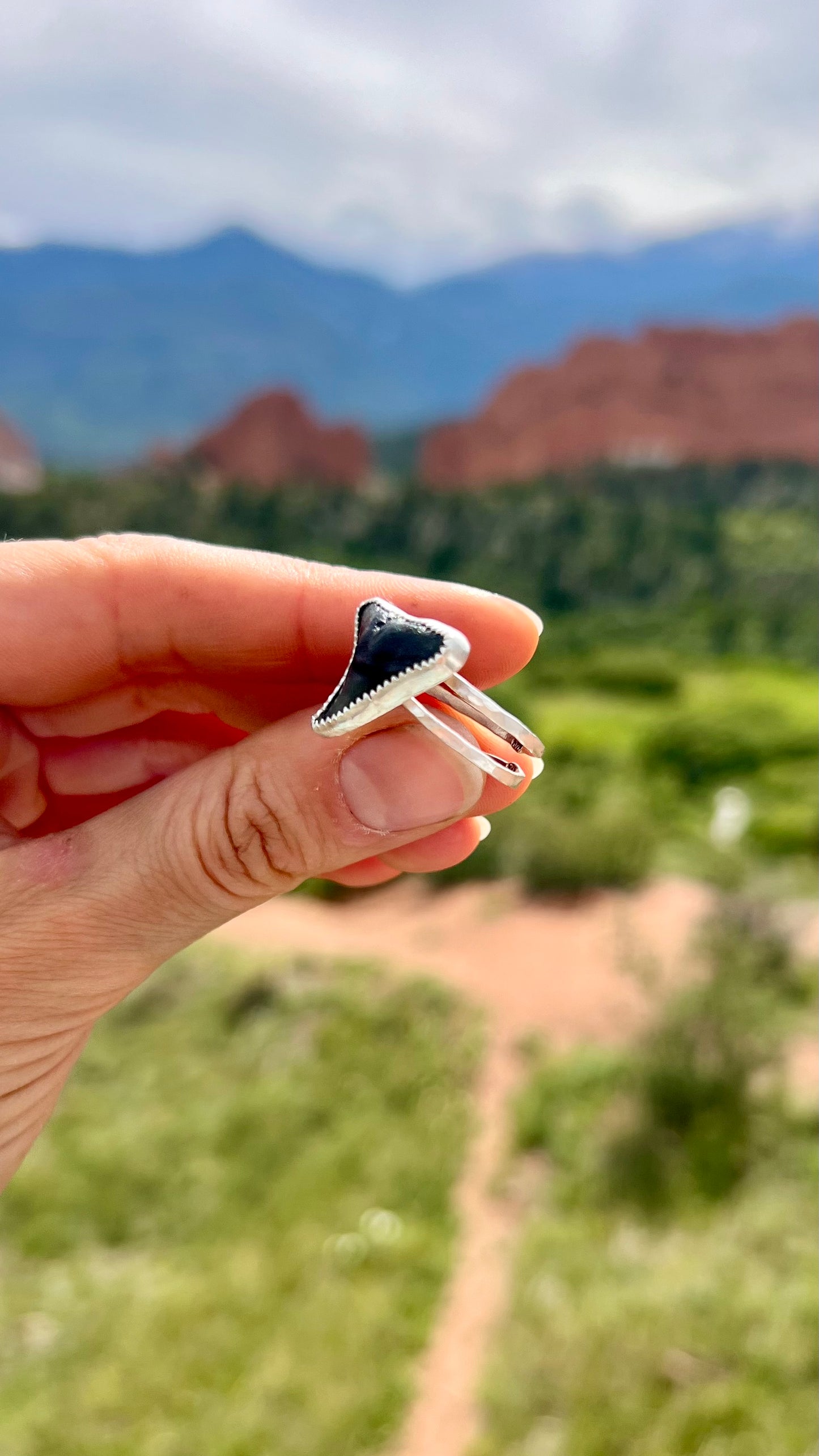 Shark Ring