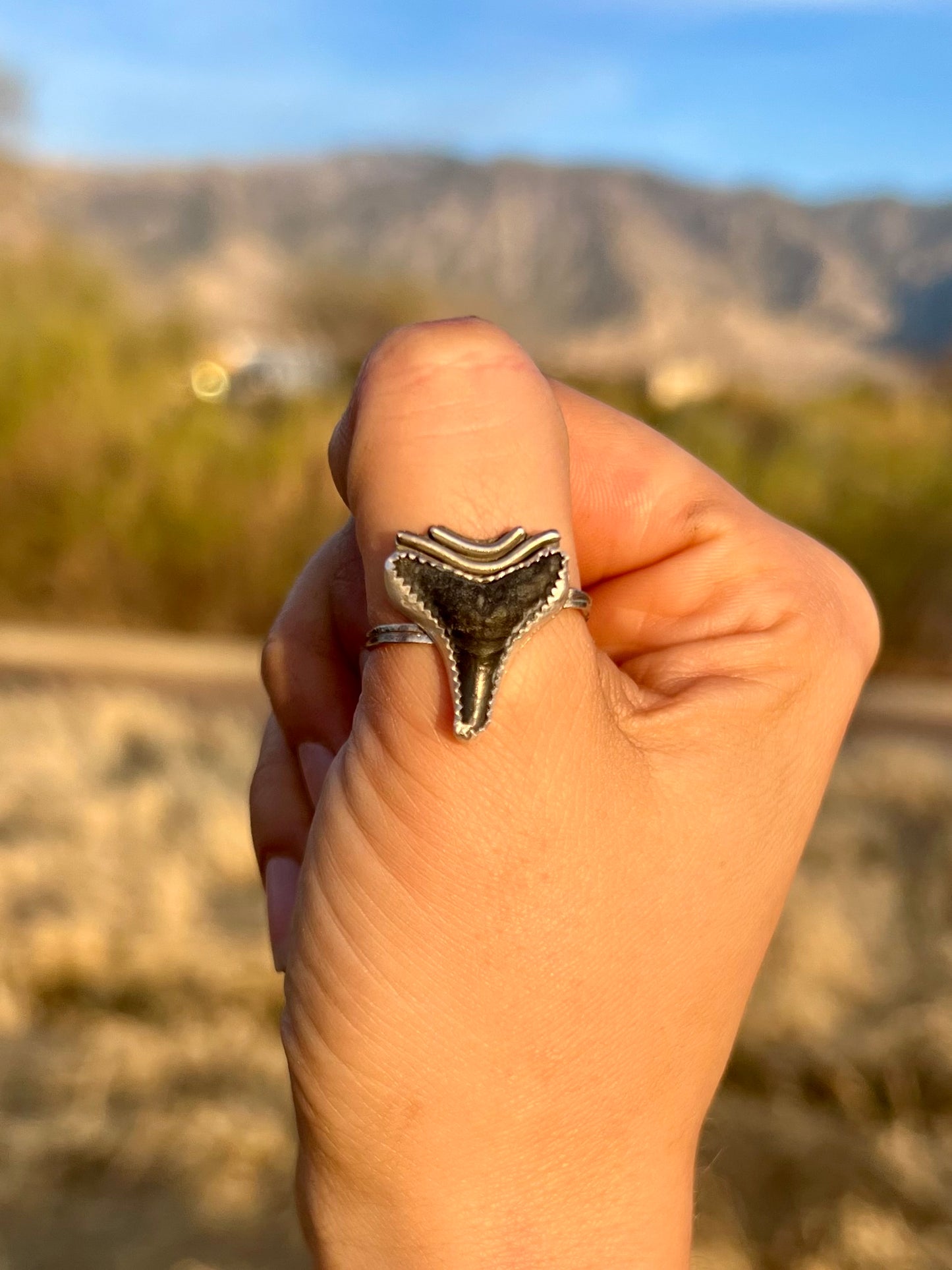 Adjustable Fossilized Shark Tooth Ring