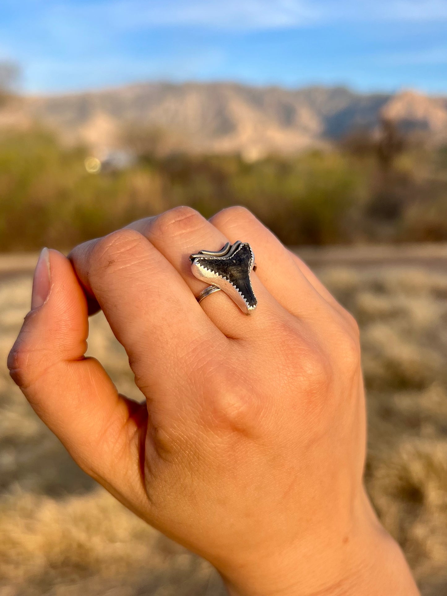Adjustable Fossilized Shark Tooth Ring
