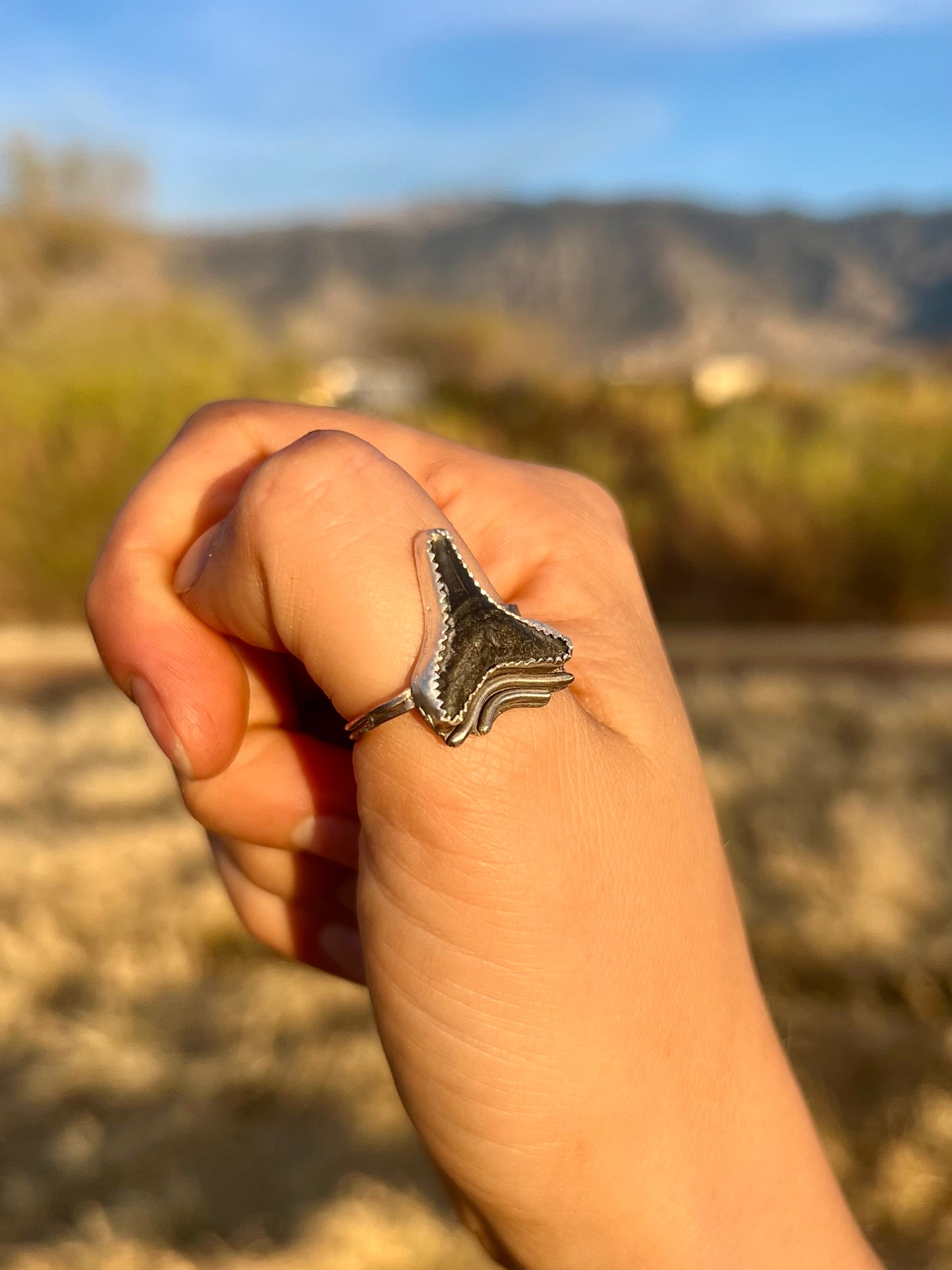 Adjustable Fossilized Shark Tooth Ring