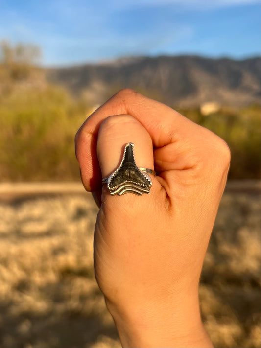 Adjustable Fossilized Shark Tooth Ring