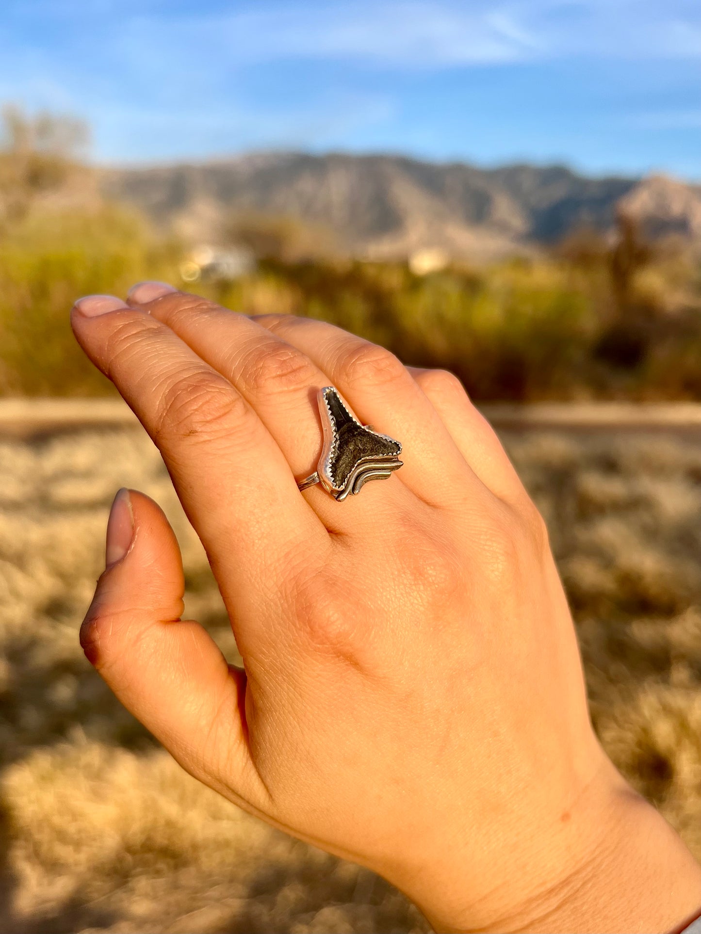 Adjustable Fossilized Shark Tooth Ring