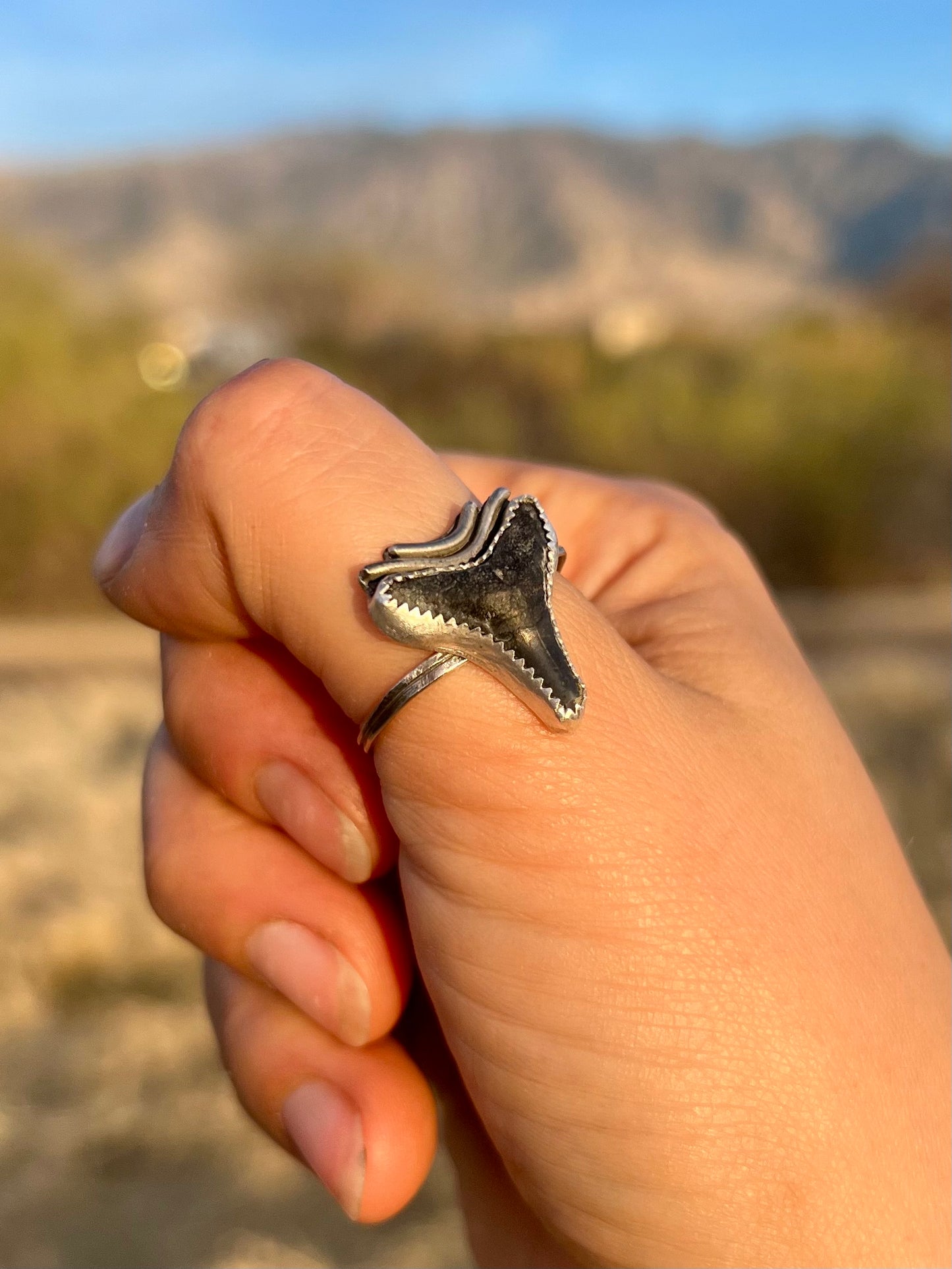 Adjustable Fossilized Shark Tooth Ring