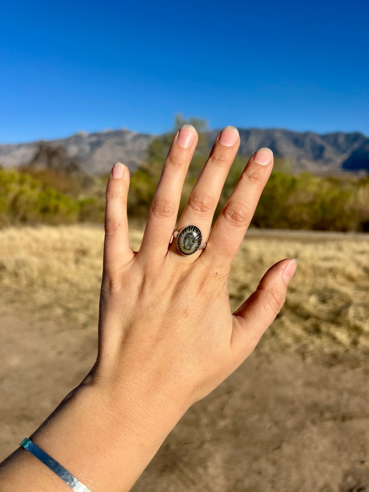 Limpet Shell Ring