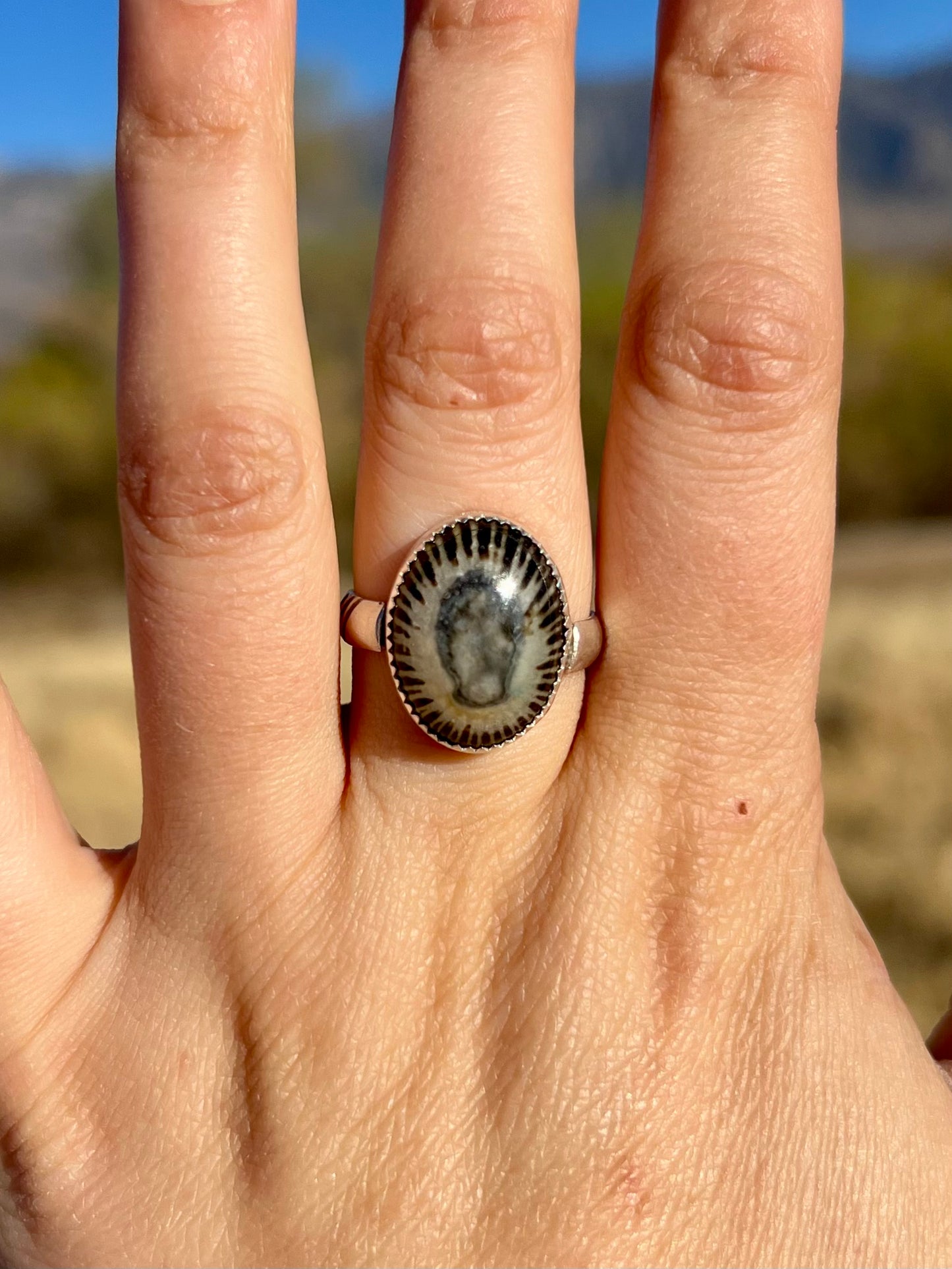 Limpet Shell Ring