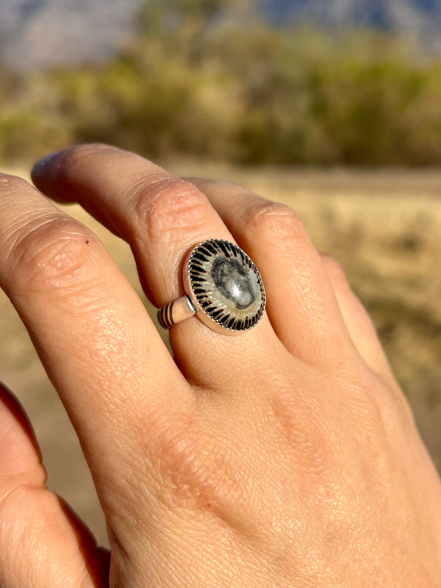 Limpet Shell Ring