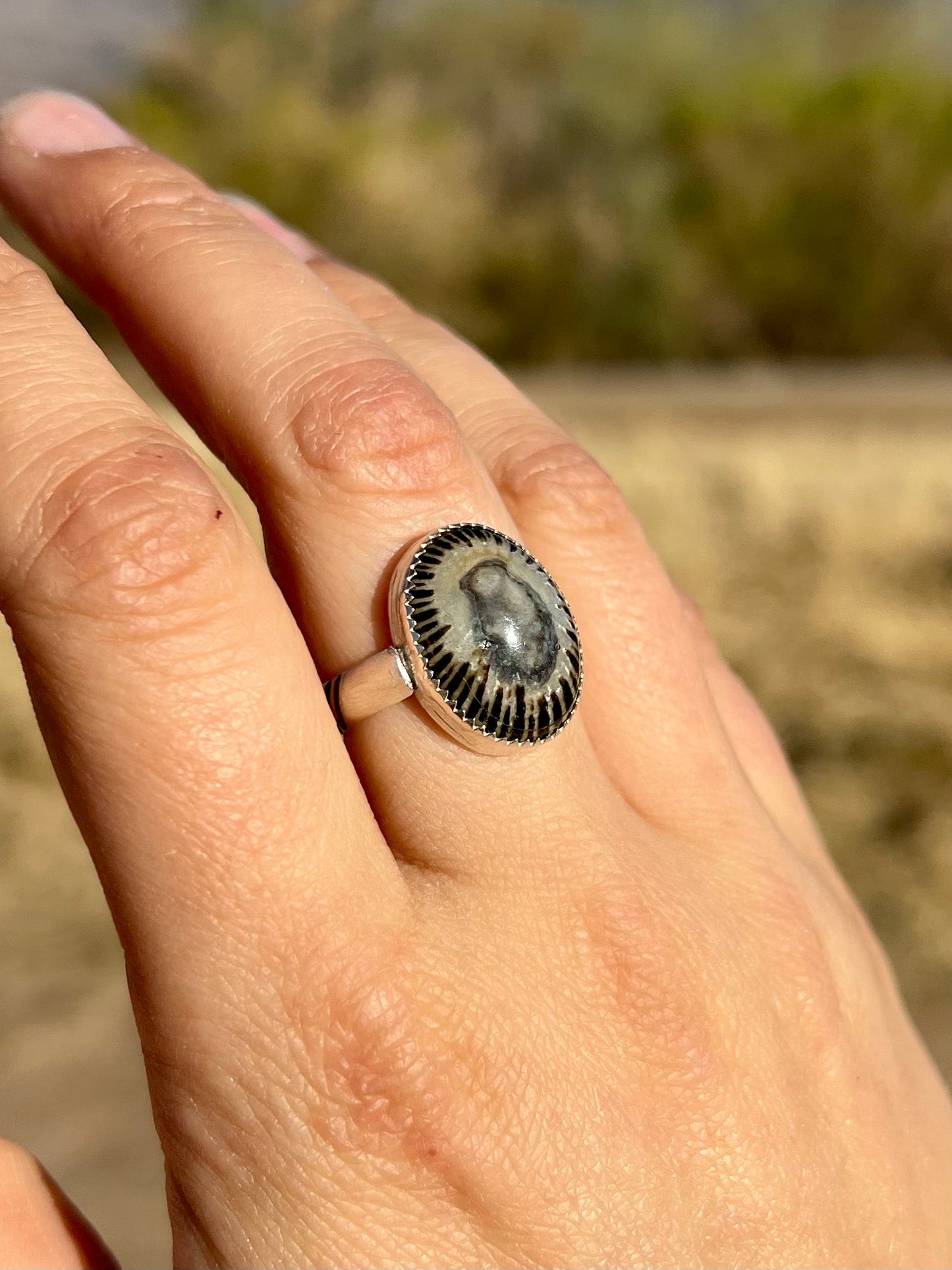 Limpet Shell Ring