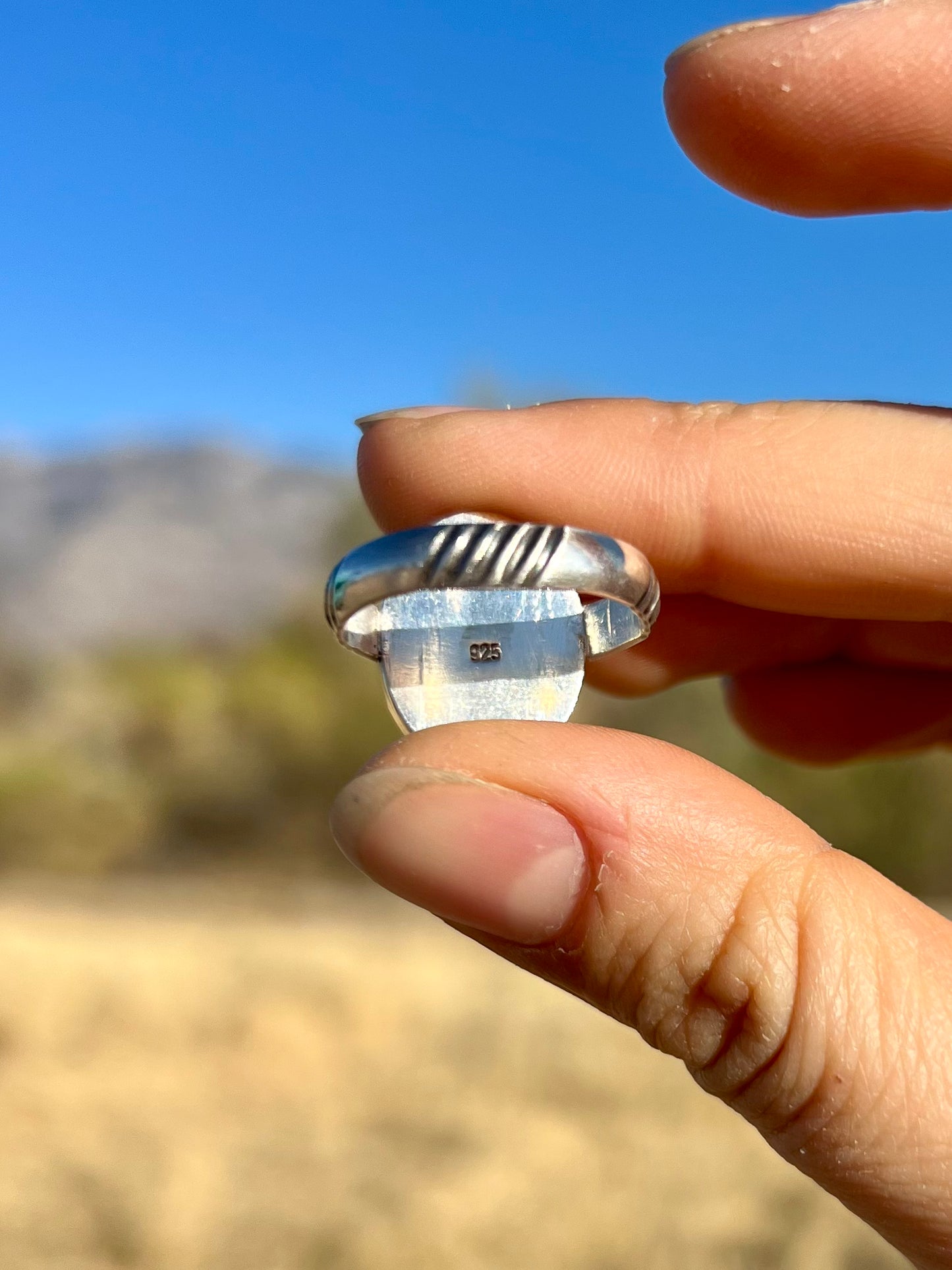 Limpet Shell Ring