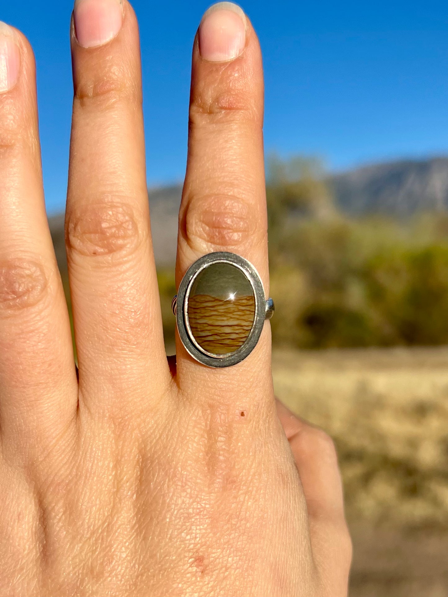 Picture Jasper Saguaro Ring