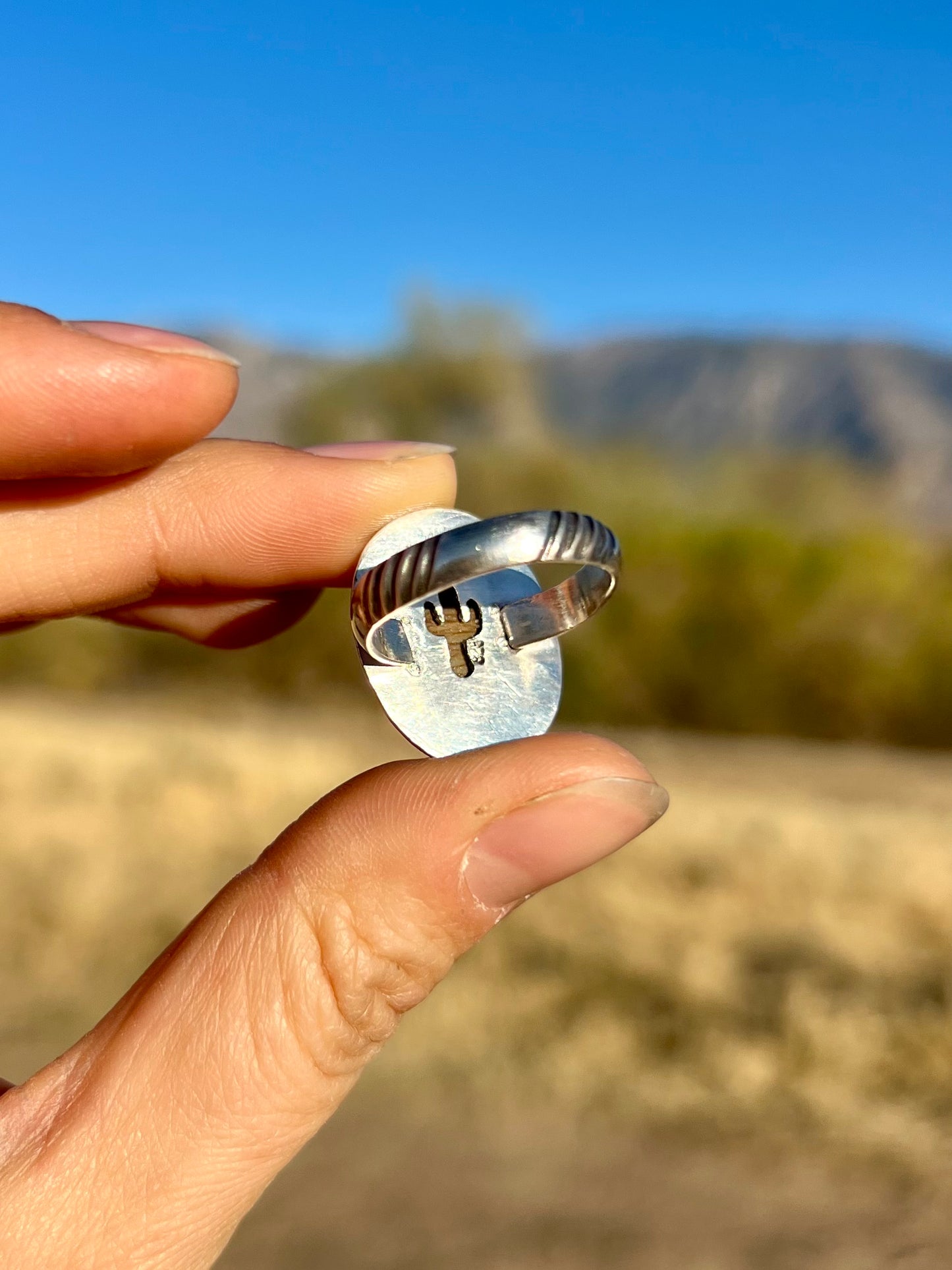 Picture Jasper Saguaro Ring