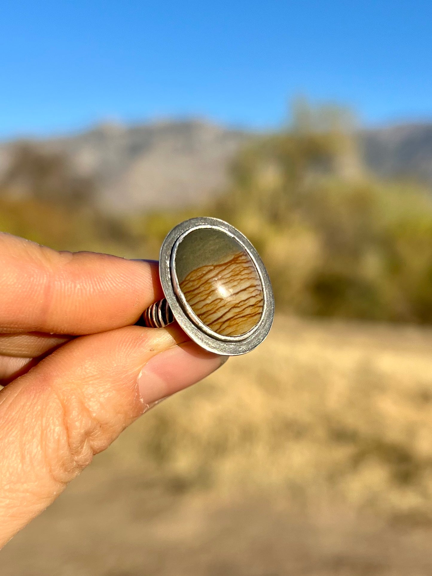 Picture Jasper Saguaro Ring