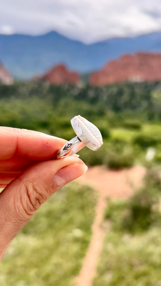 Scalloped Puka Shell Ring