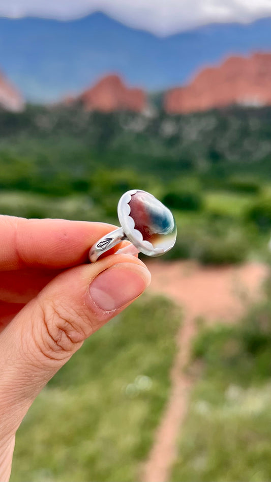 Operculum Ring