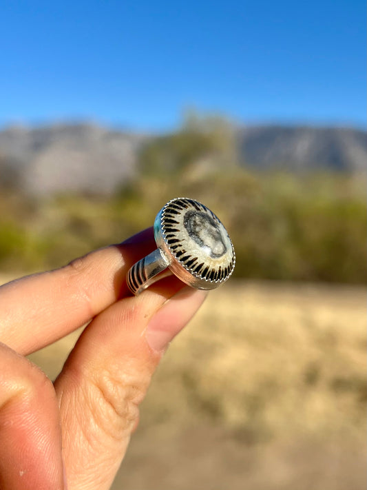 Limpet Shell Ring